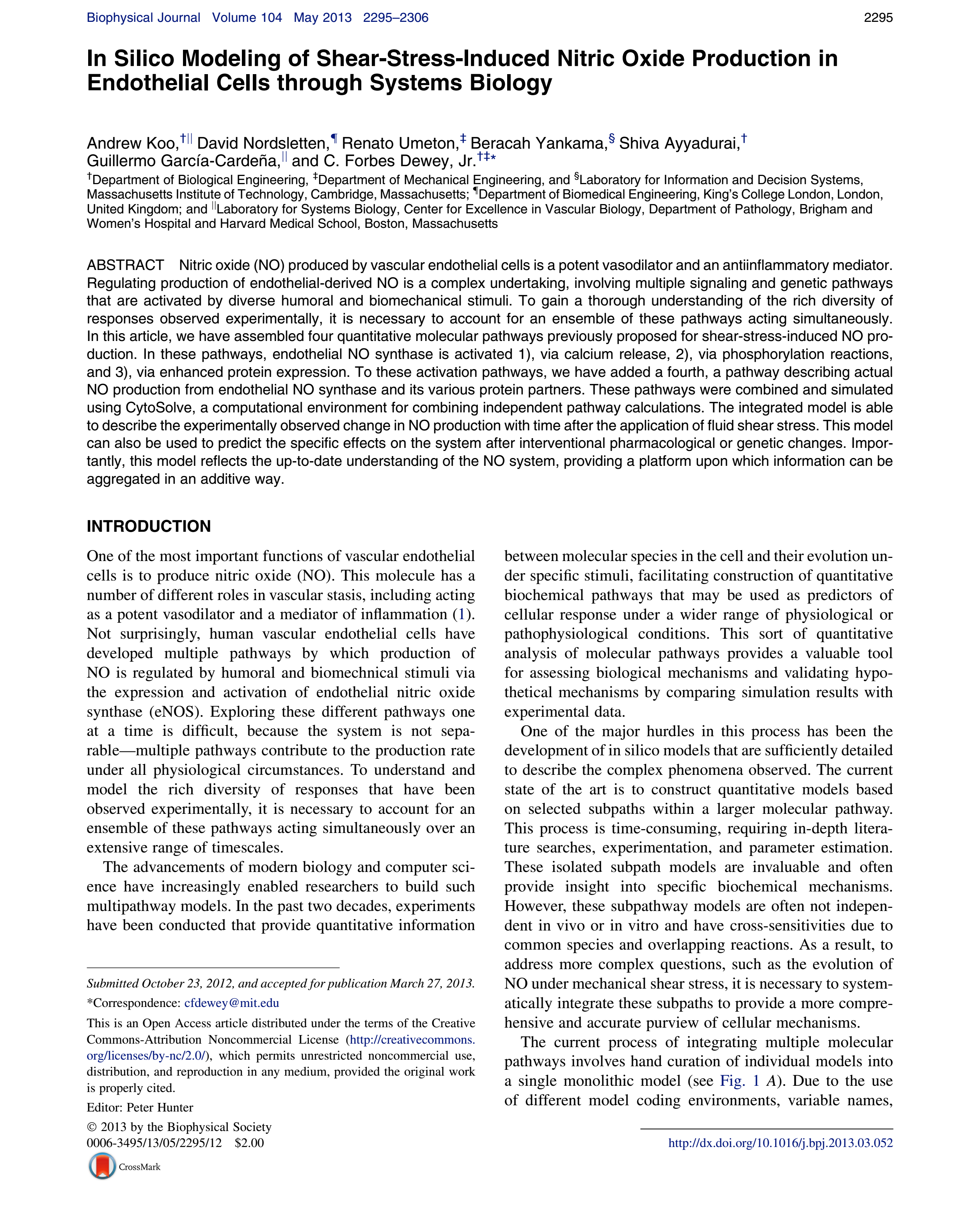 Shear Stress induced NO