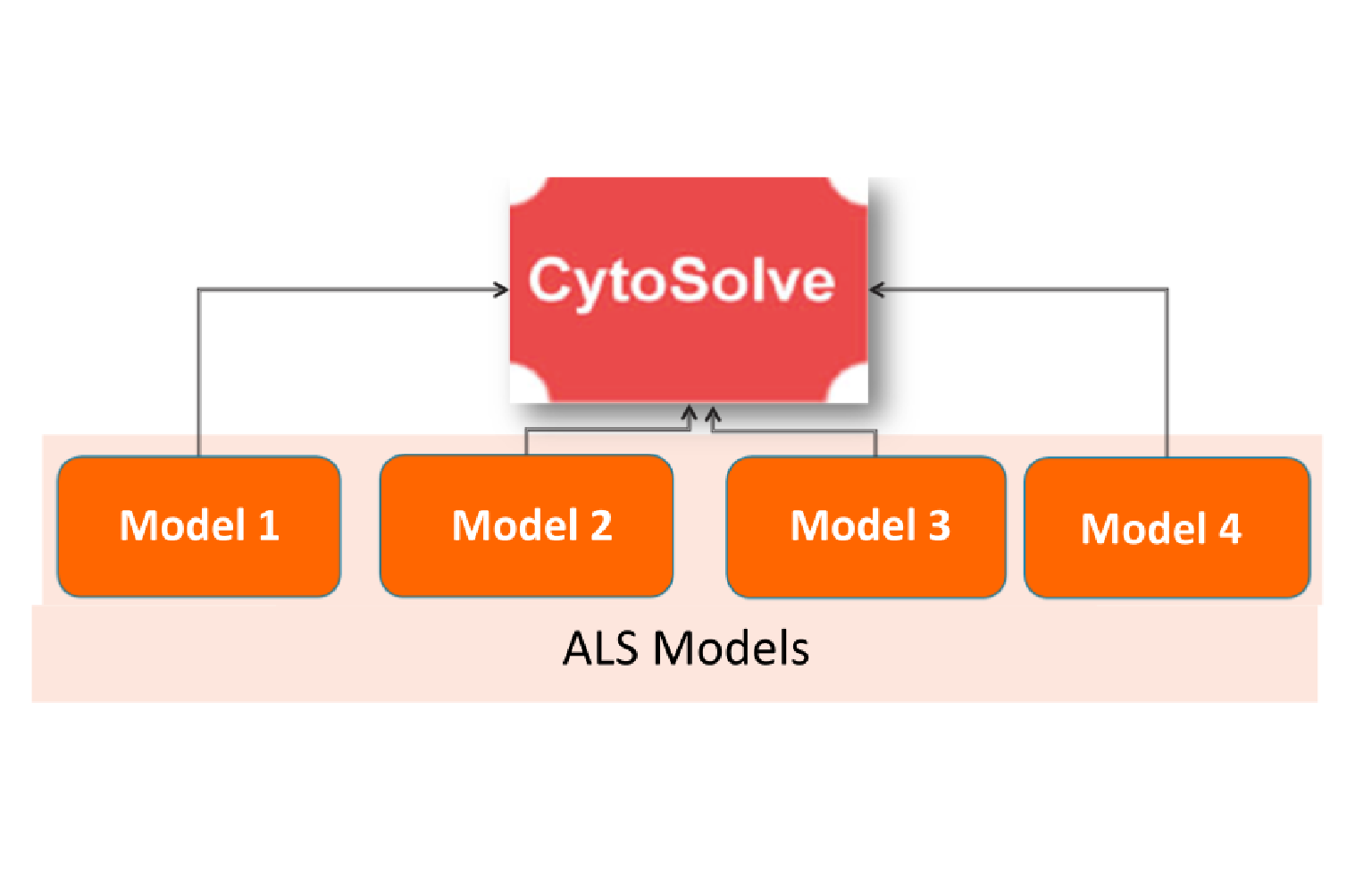In Silico Modeling