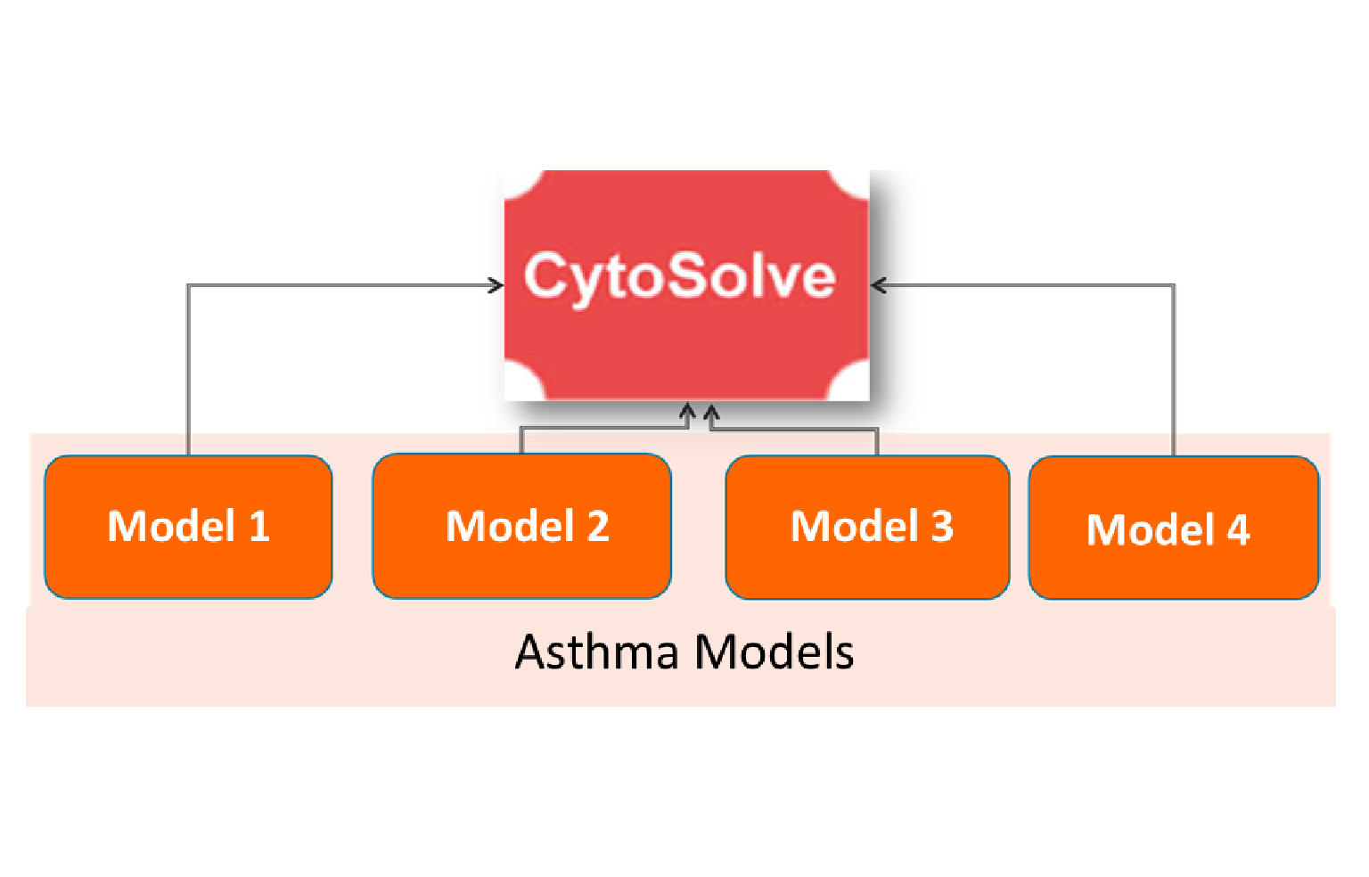 In Silico Modeling