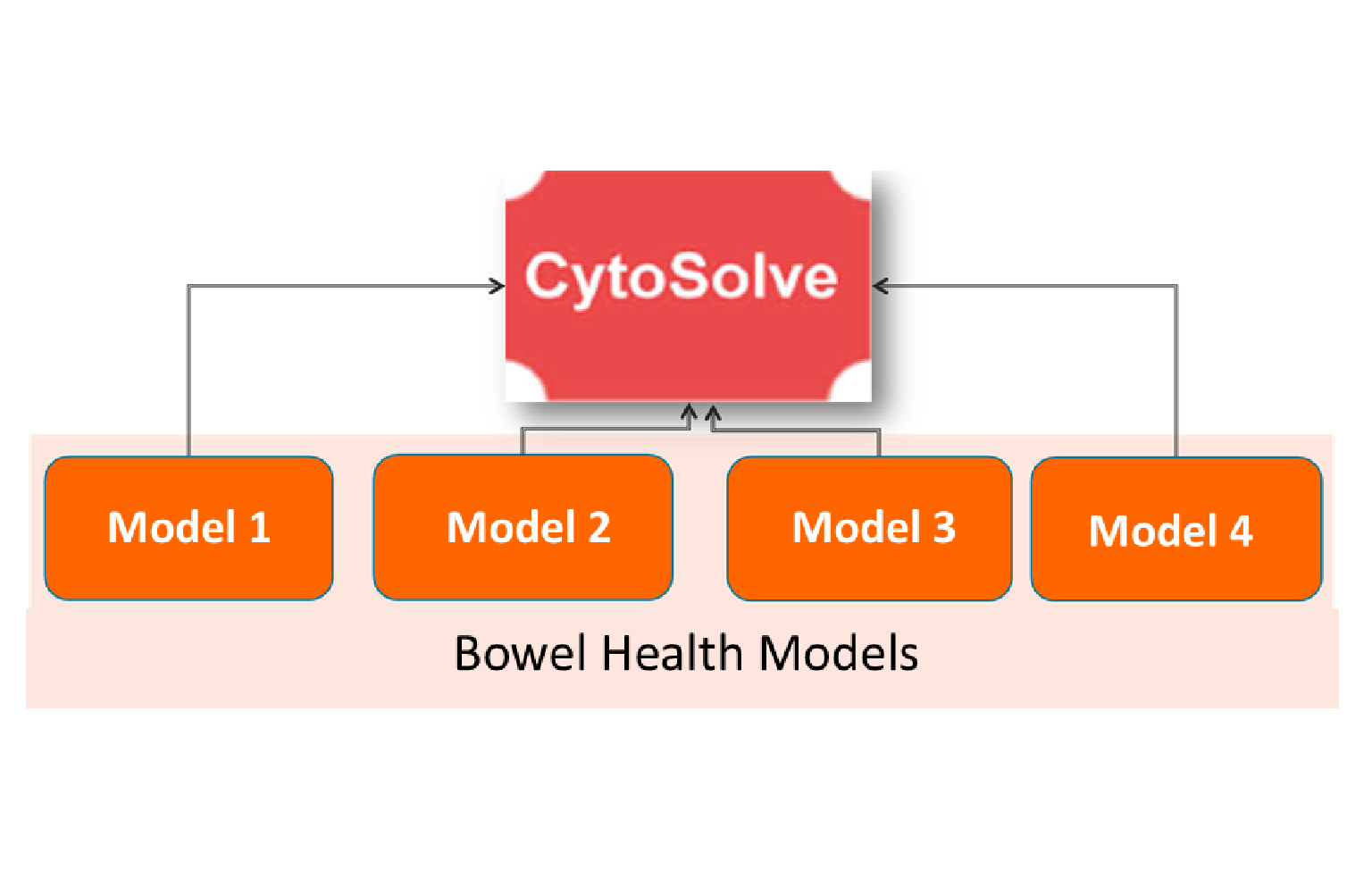 In Silico Modeling