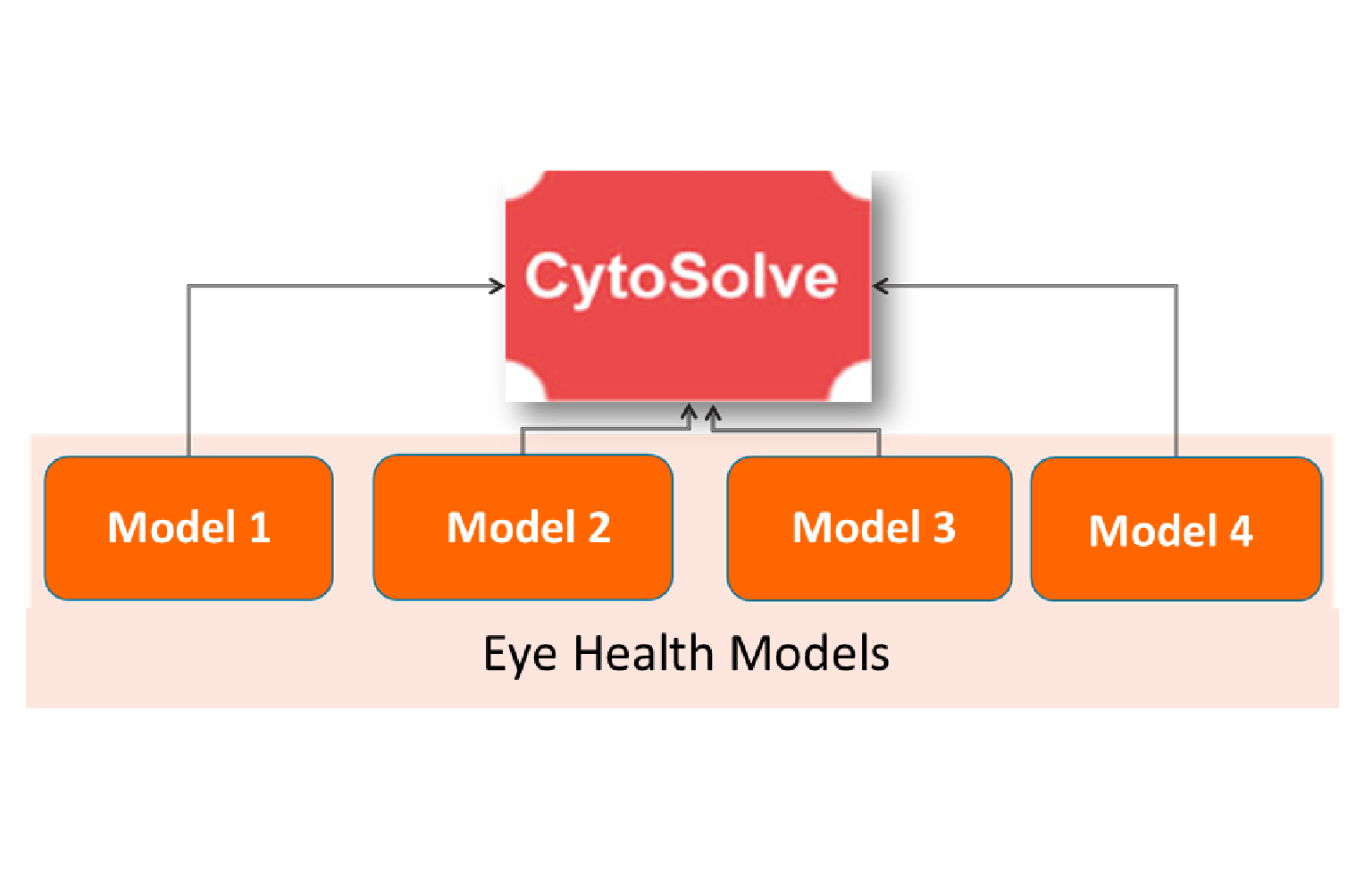 In Silico Modeling