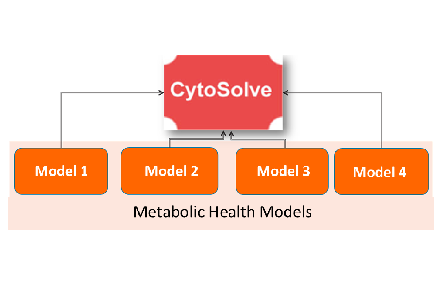 In Silico Modeling