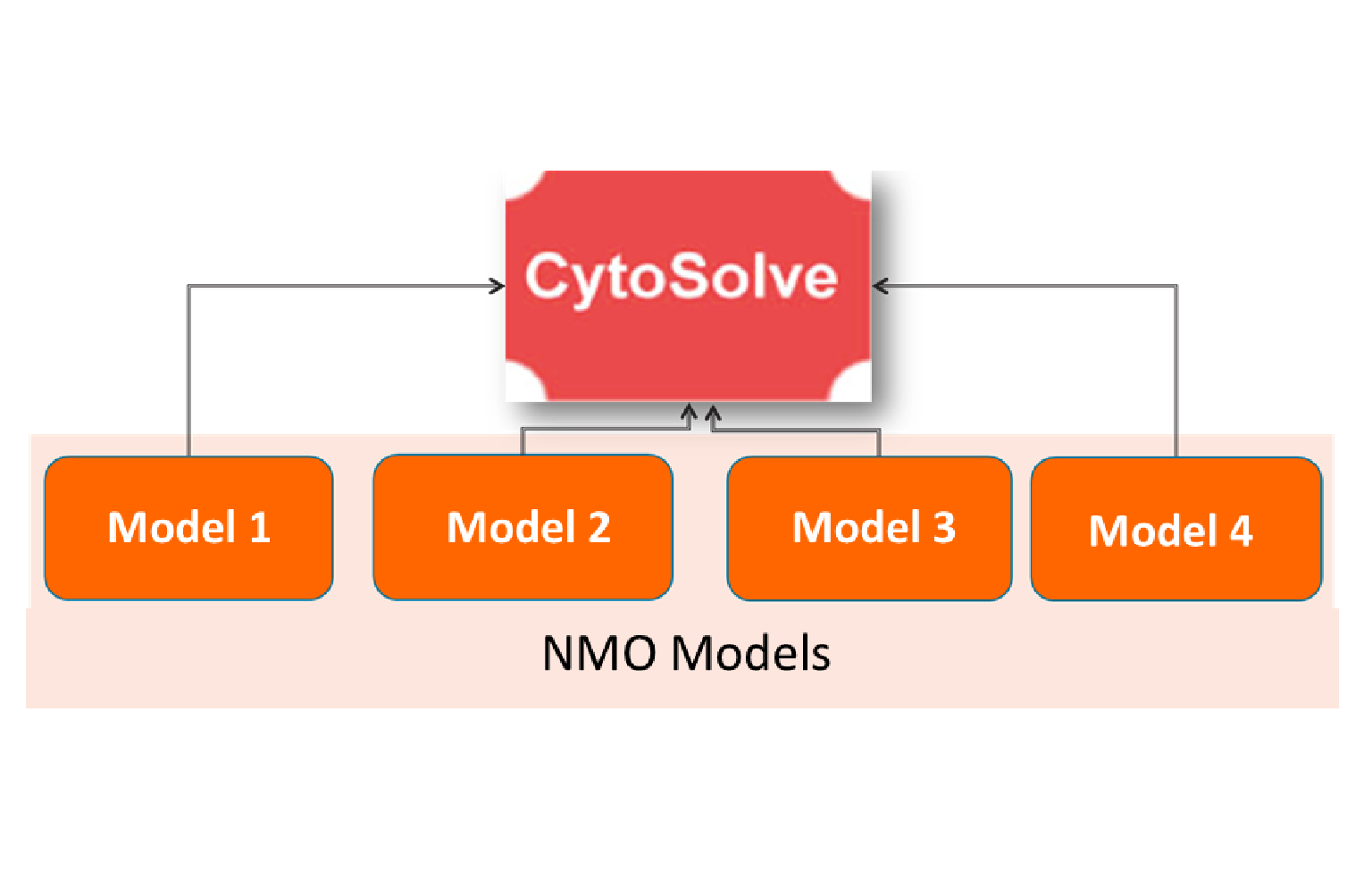 In Silico Modeling