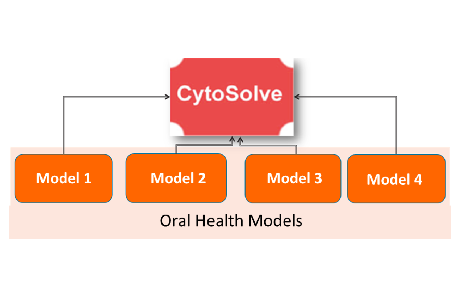 In Silico Modeling