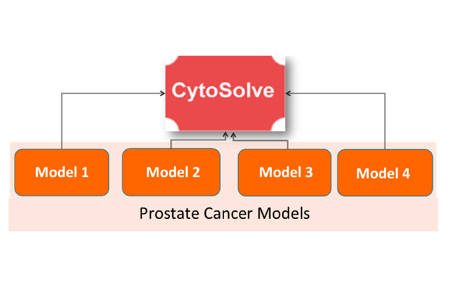 In Silico Modeling