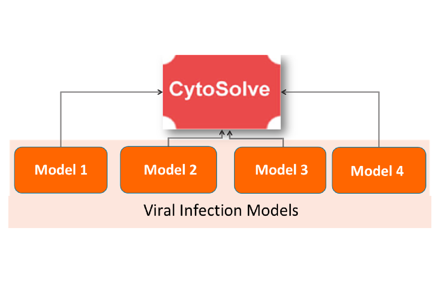 In Silico Modeling
