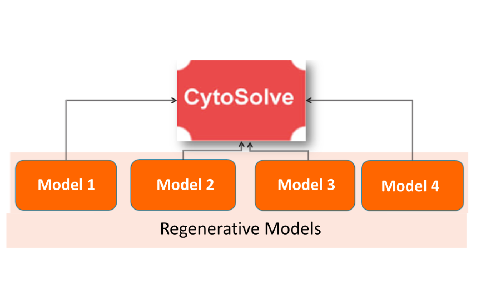 In Silico Modeling