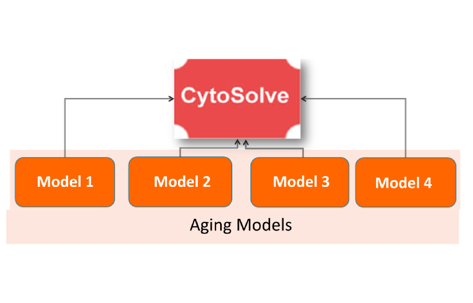 In Silico Modeling